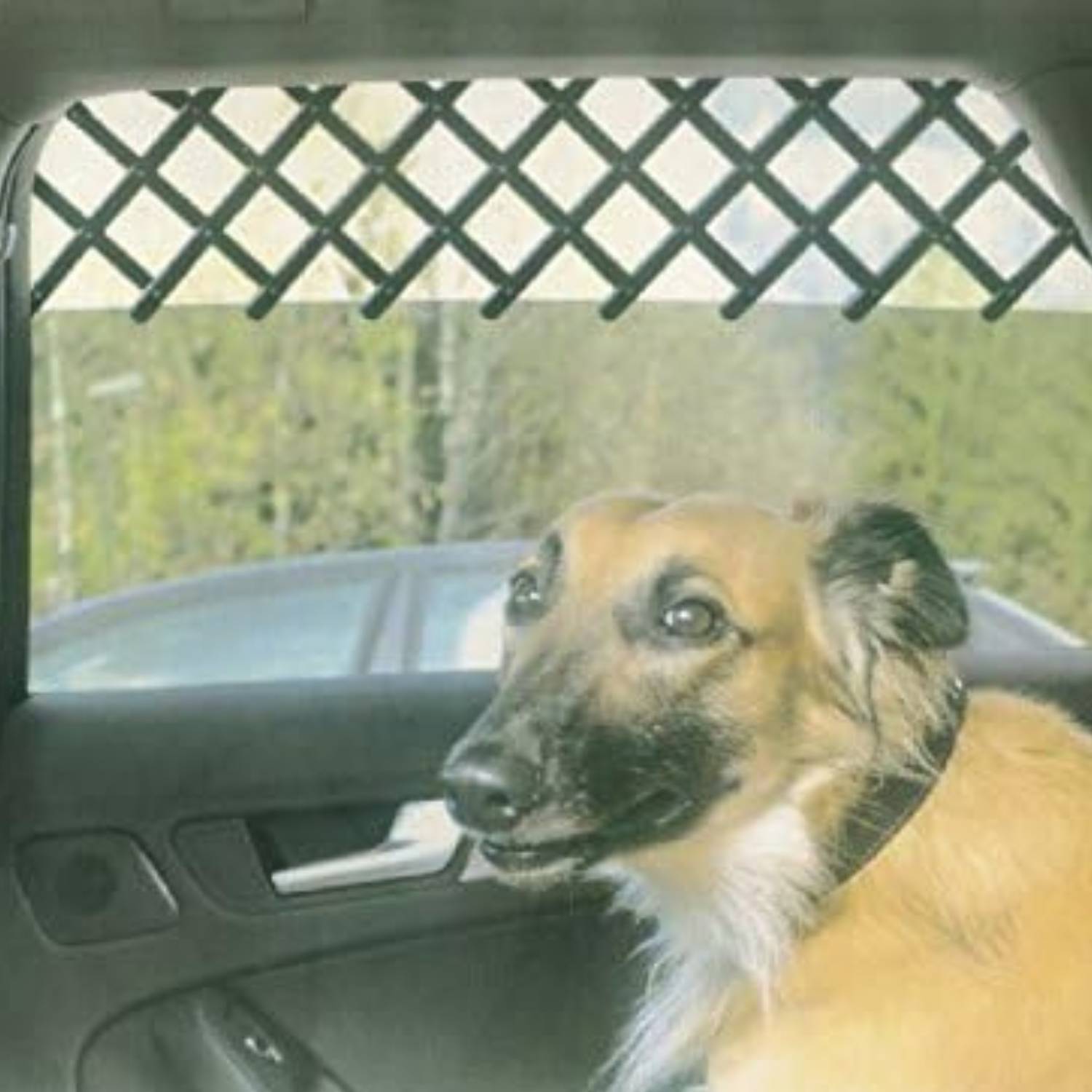 Car Window Pet Gate | Dog Car Window Barrier | Vehicle Window Barrier For Dogs: image 5